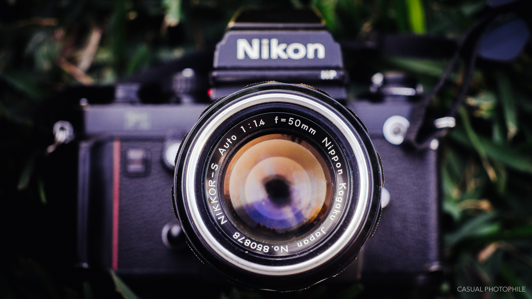 ◉ Nikon New FM2 & NIKKOR-S Auto 50/1.4-